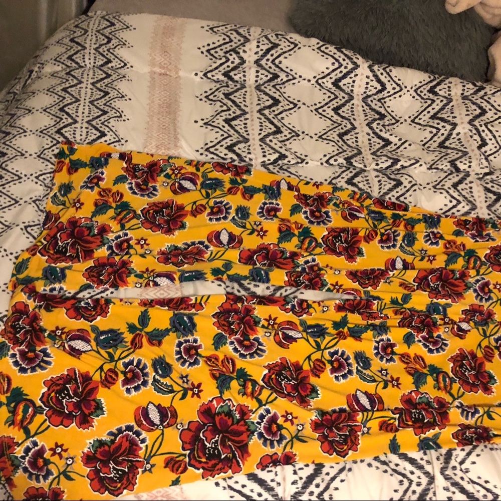 Floral plants